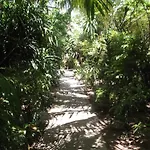 The Chess Samui