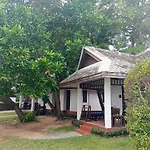 The Hive Hotel
