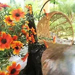 The Jasmine Resort