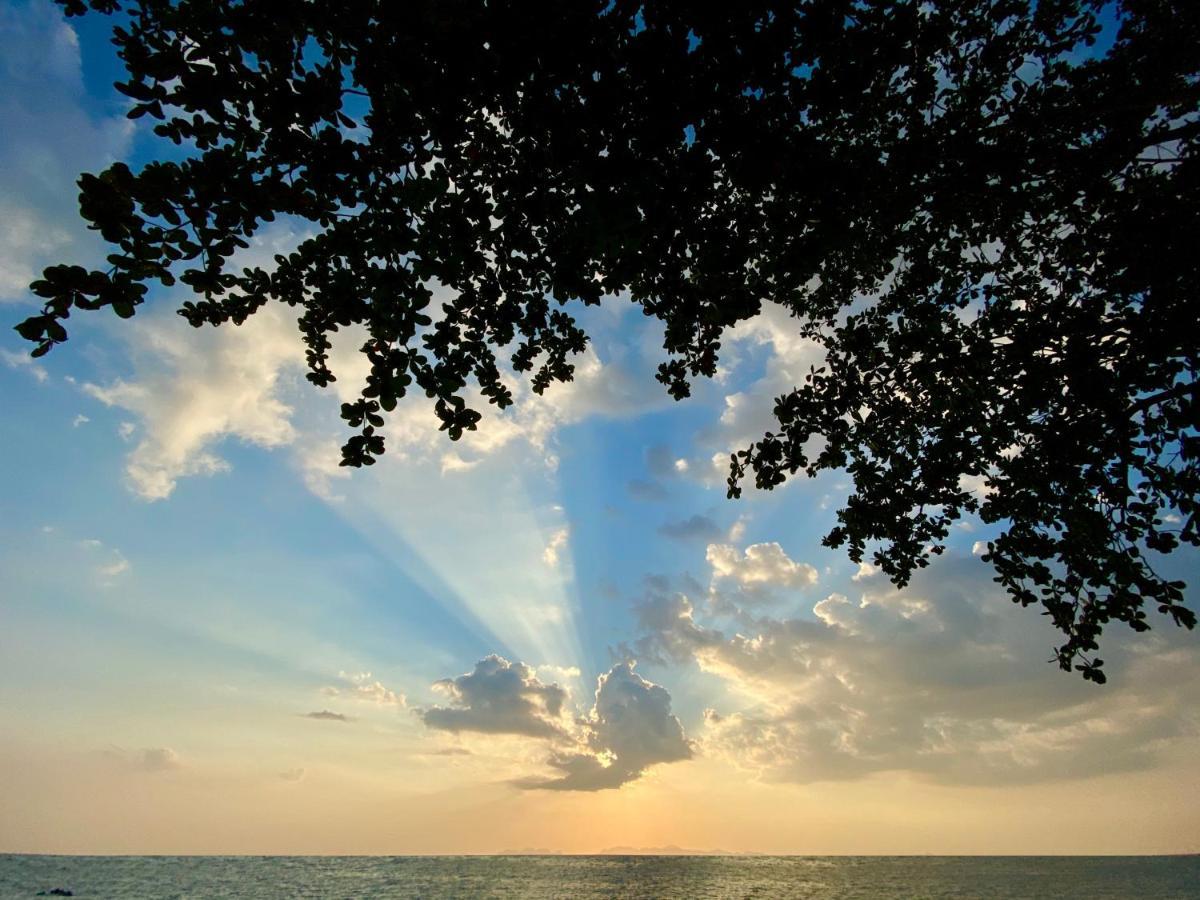 Cha Cha Koh Jum