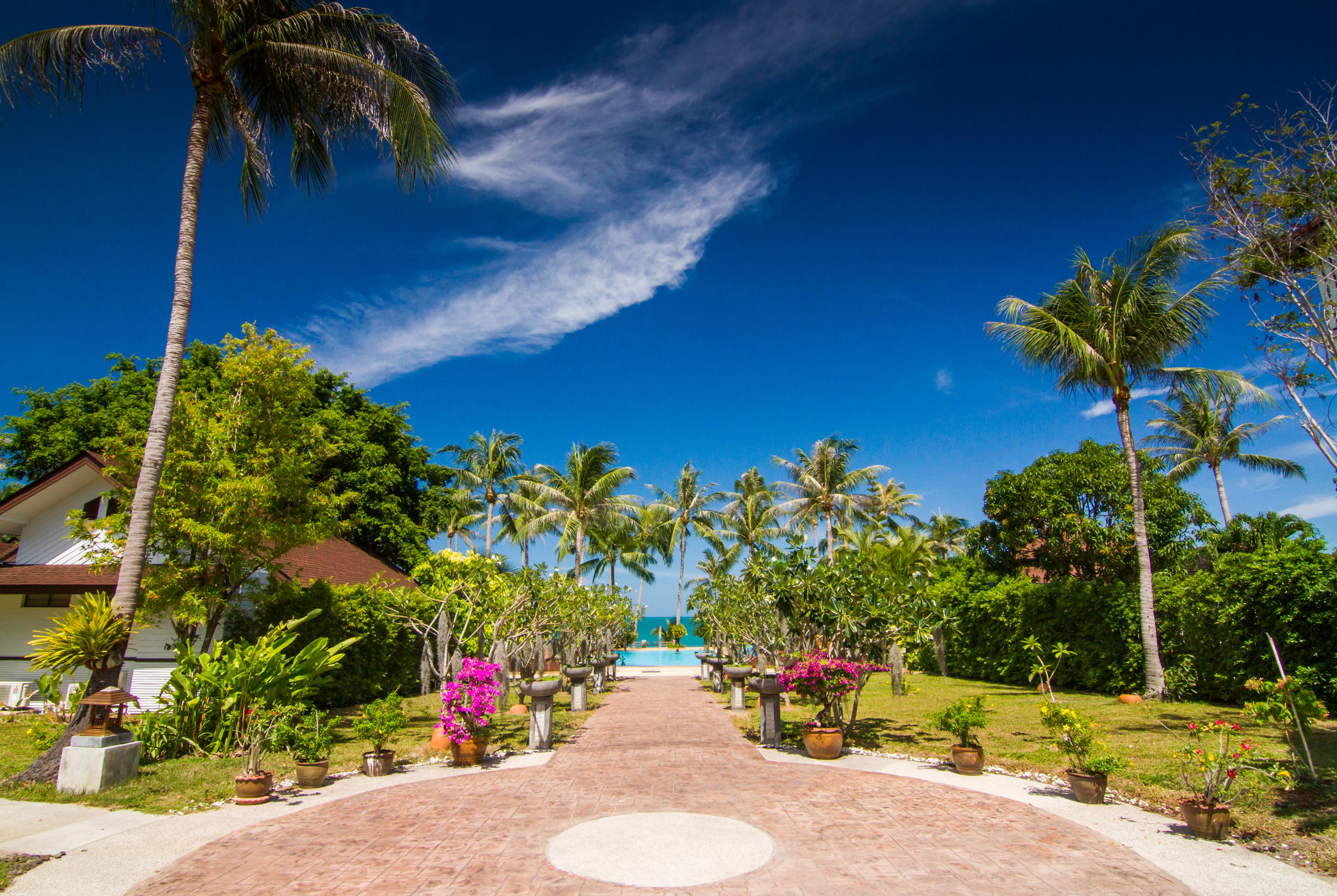Coco Palm - Sha Extra Resort