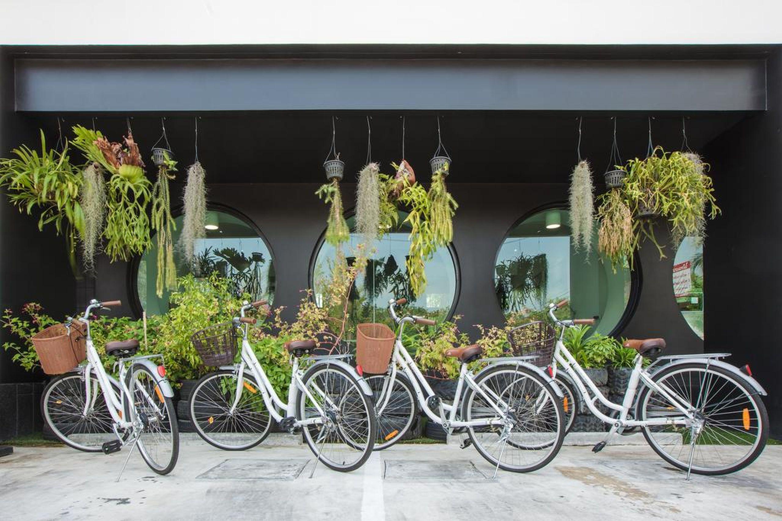 Blu Monkey Hub And Town- Free Day Coworking Space Hotel Phuket