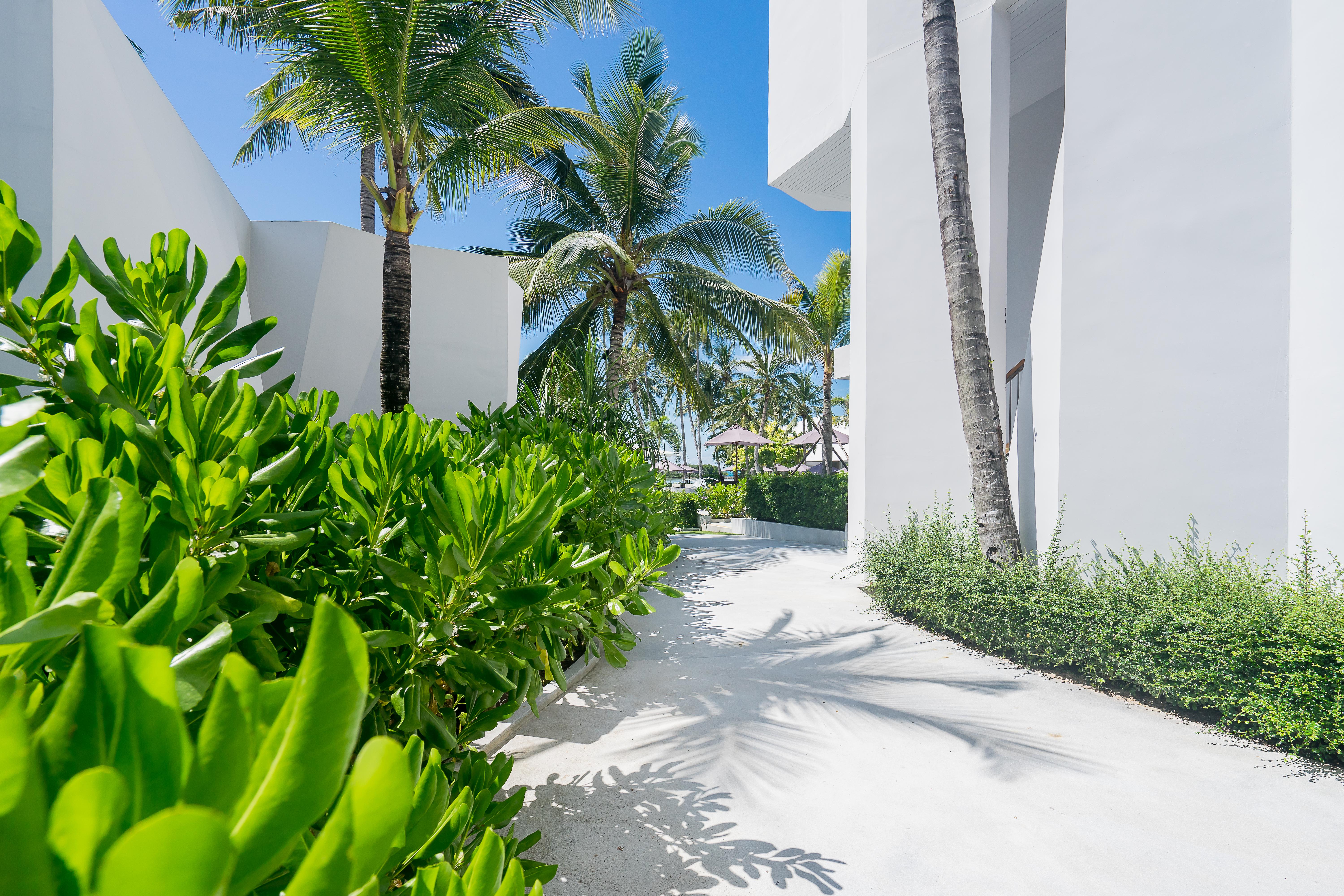 Resort La Vida Samui 4*