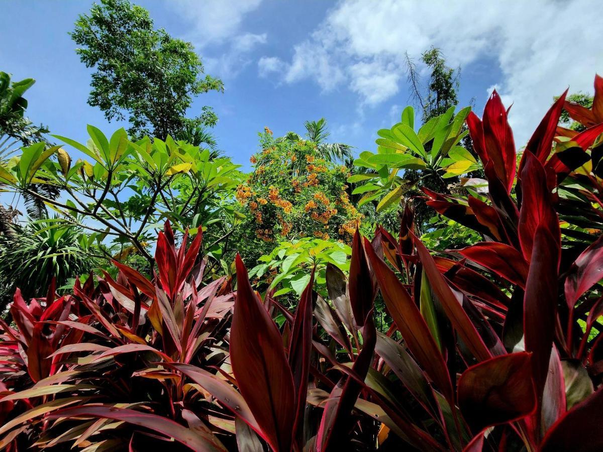 Garden Sha Extra Praia de Kata