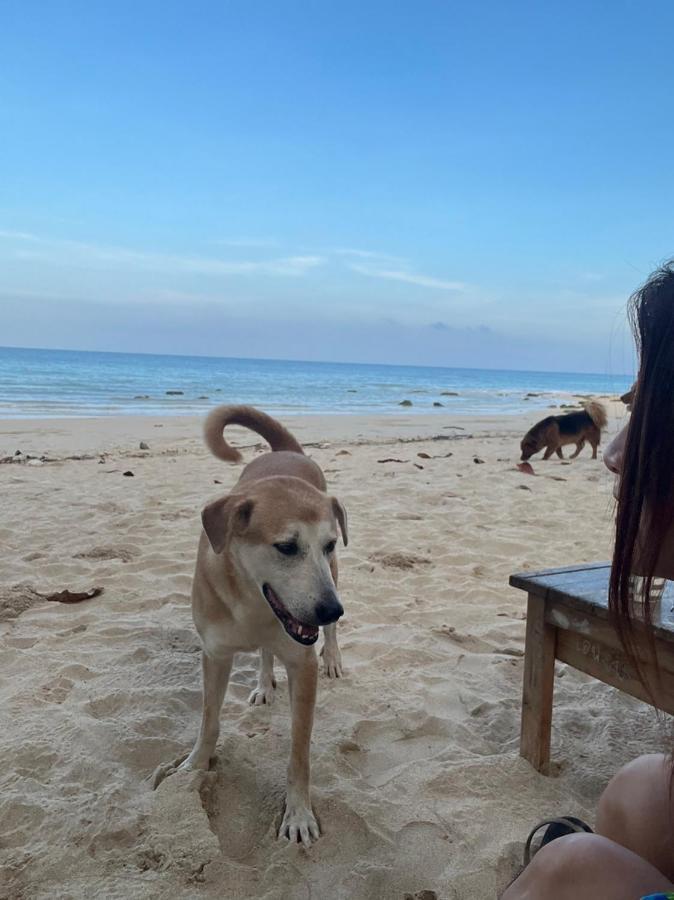 Sanctuary Lanta * Koh Lanta