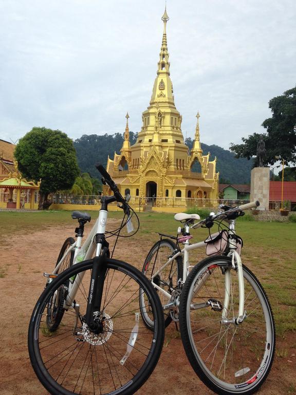 Bike Cycle Hostel *