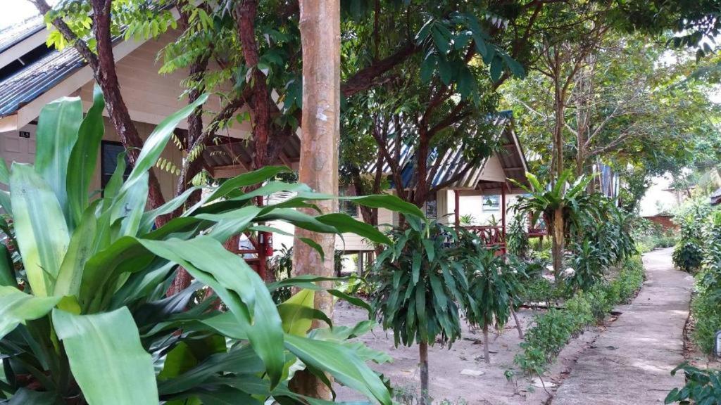 Hostel Lanta Long *