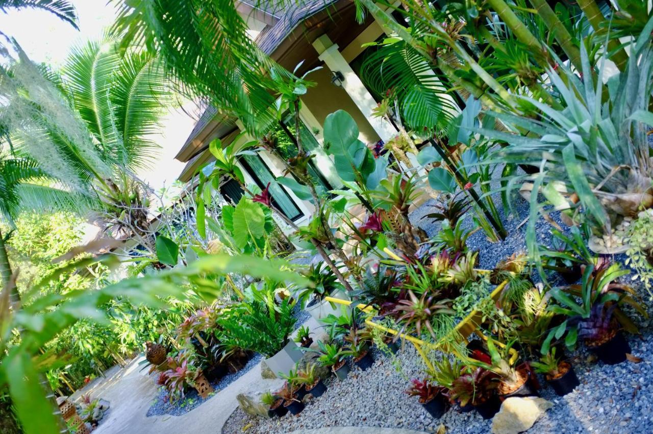 The Nature House Aonang Krabi Thailand Holiday home Ao Nang