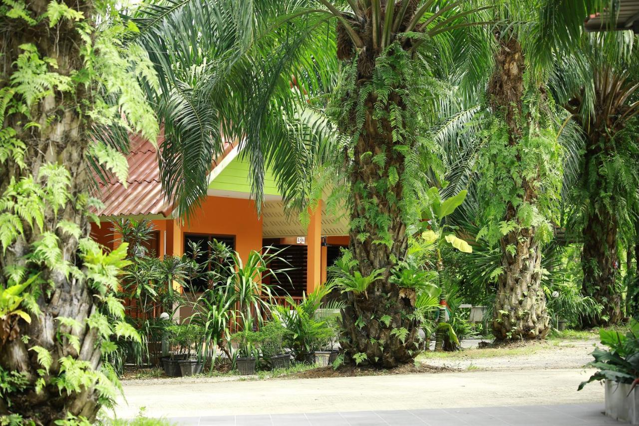 Palm Kaew