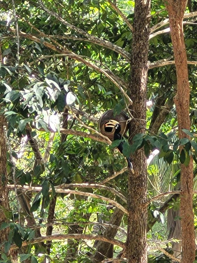 Homestay Banhalawee Ko Yao Yai