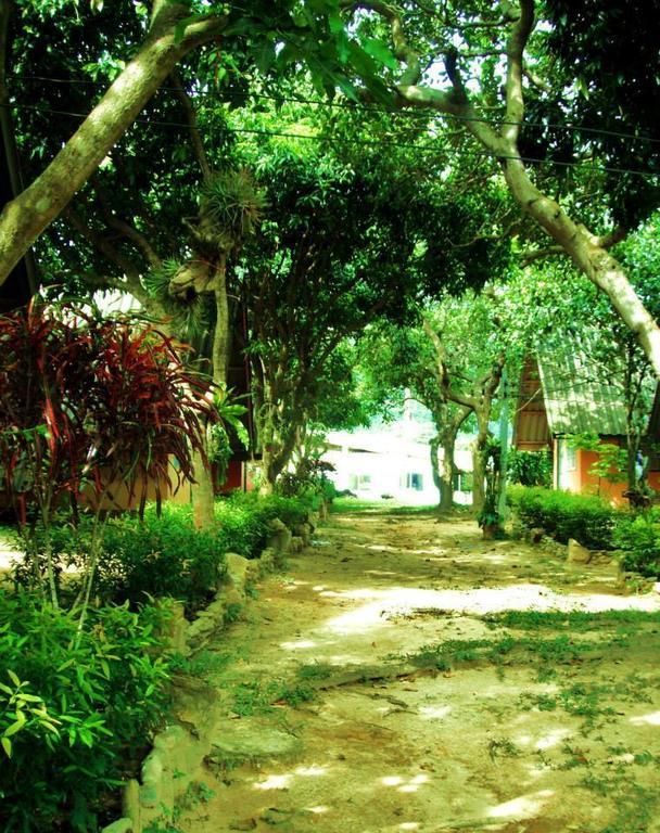 Lodge Cashewnut Tree