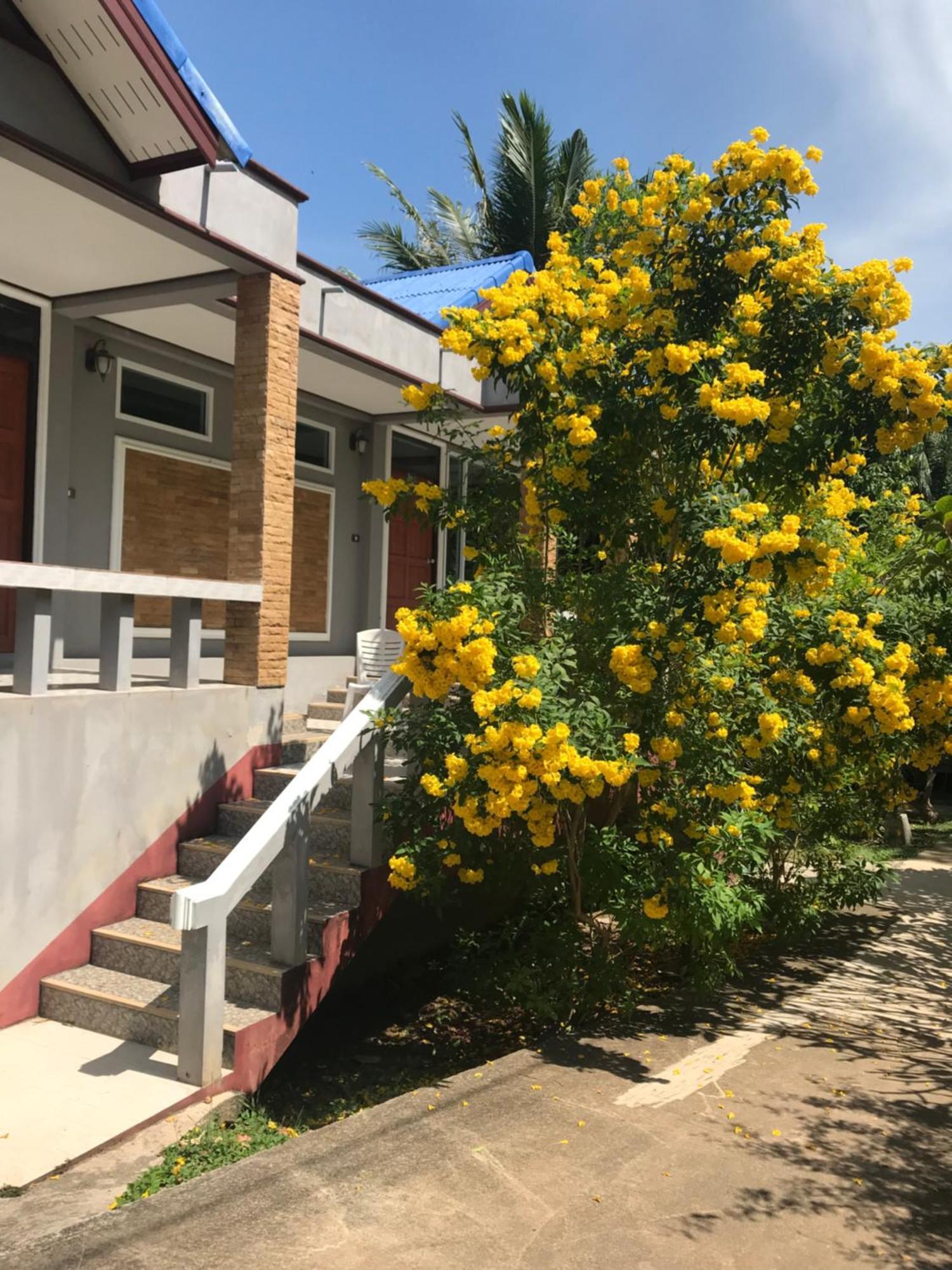 Hotel Klongnin Nature Hill Koh Lanta