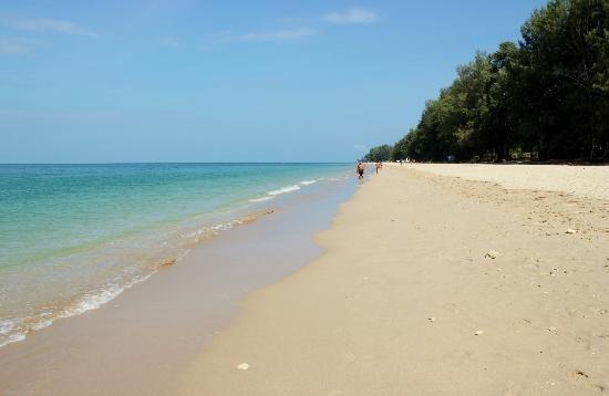 Lanta Long