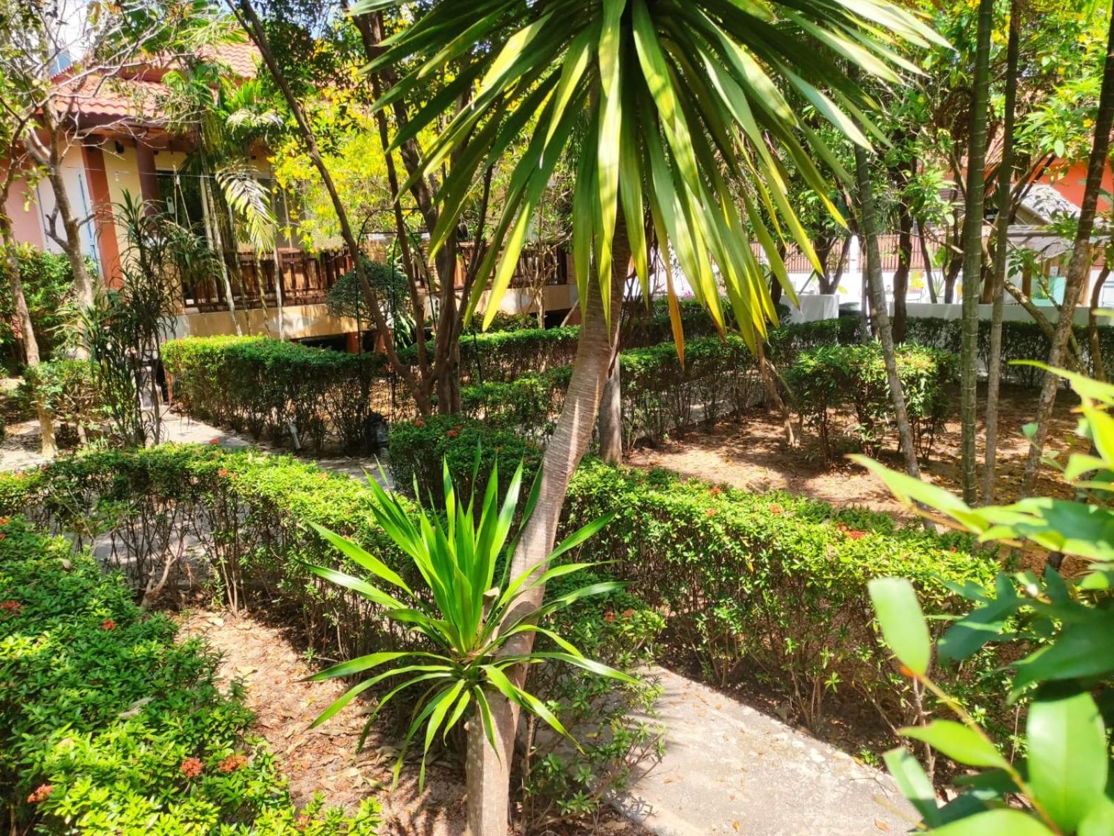 Resort Luana