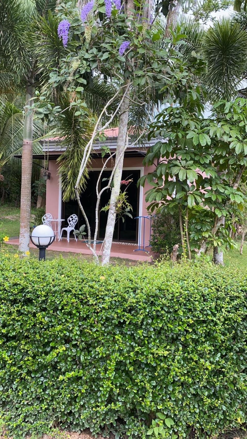 Guest house Tree