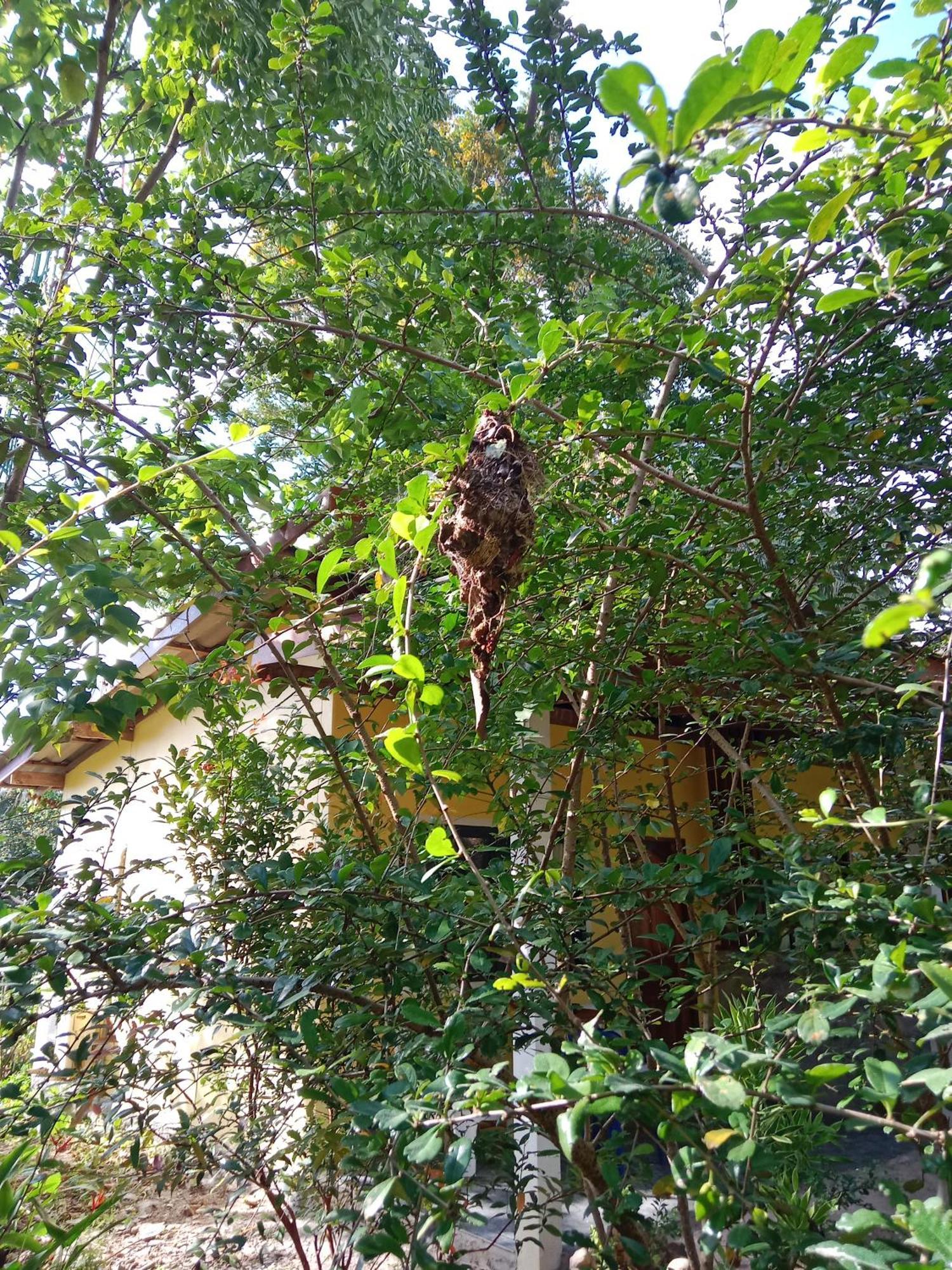 Som Palmgarden 2* Koh Lanta