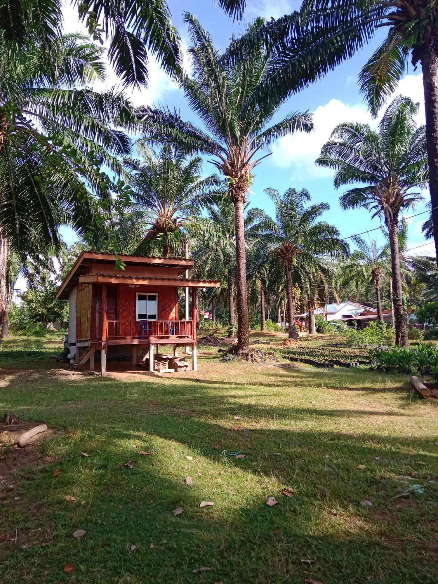 Som Palmgarden 2*