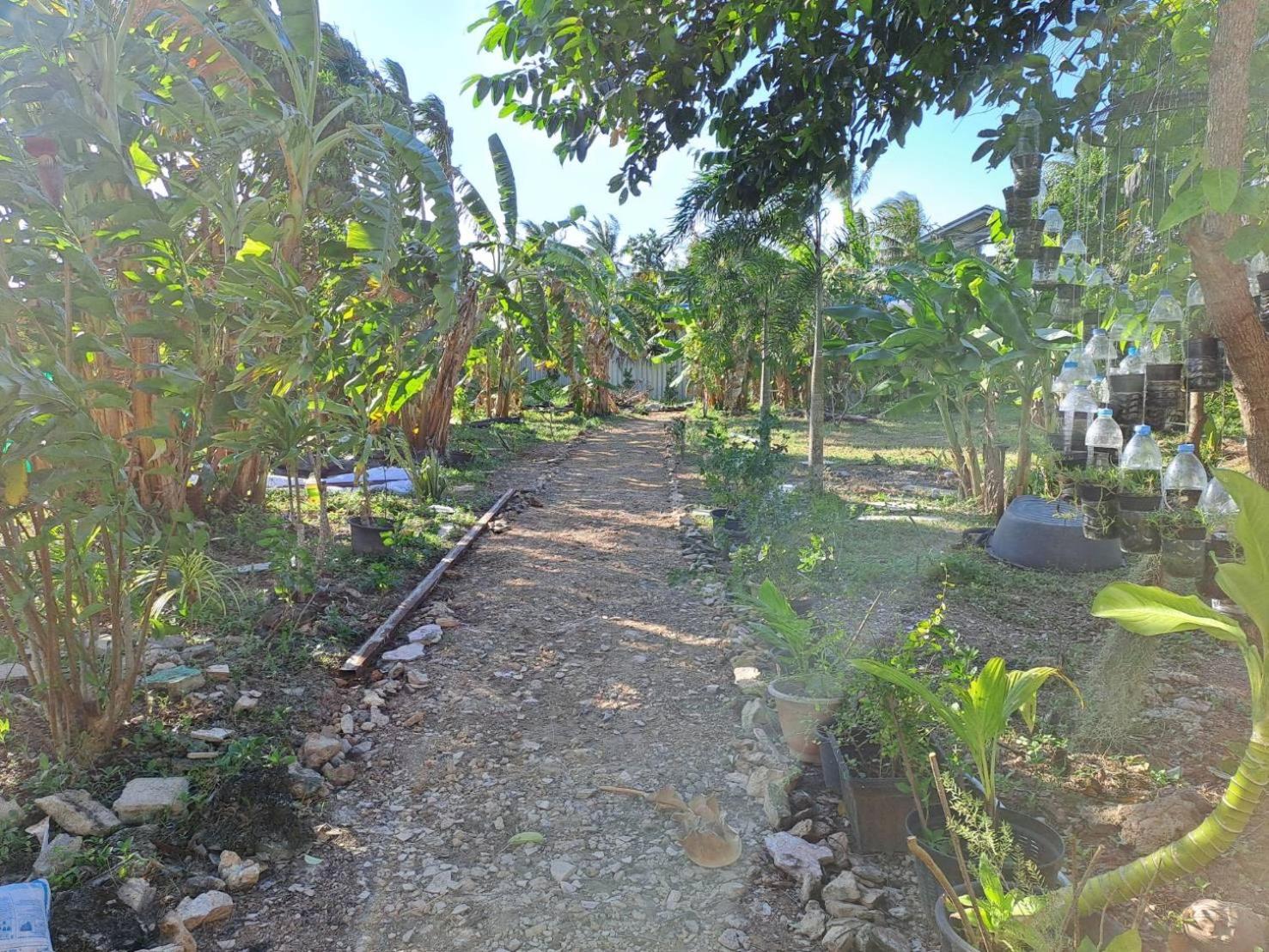 Wake Up @lanta : Cafe Hostel Koh Lanta