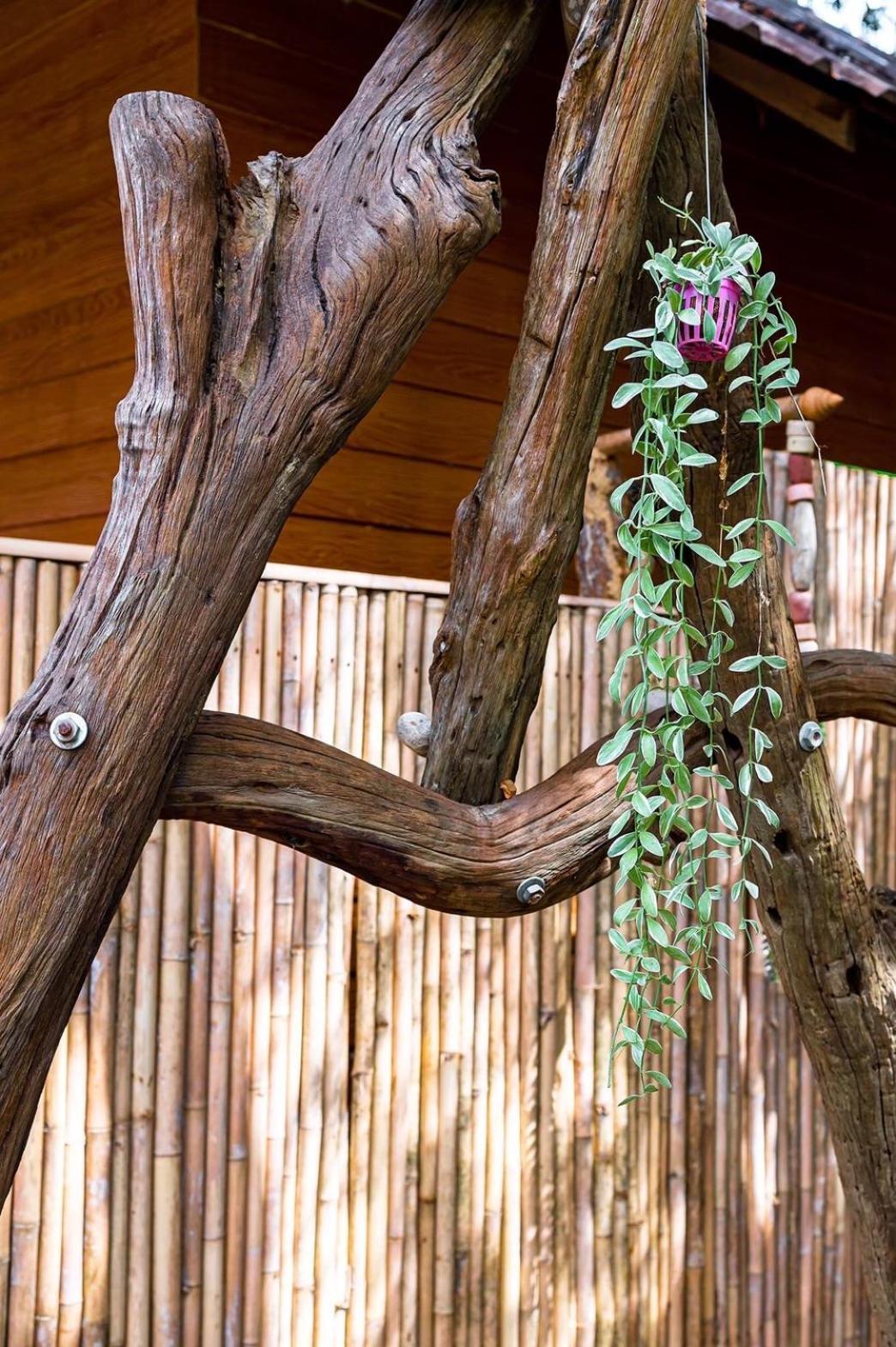 Hotel Klongnin Nature Hill