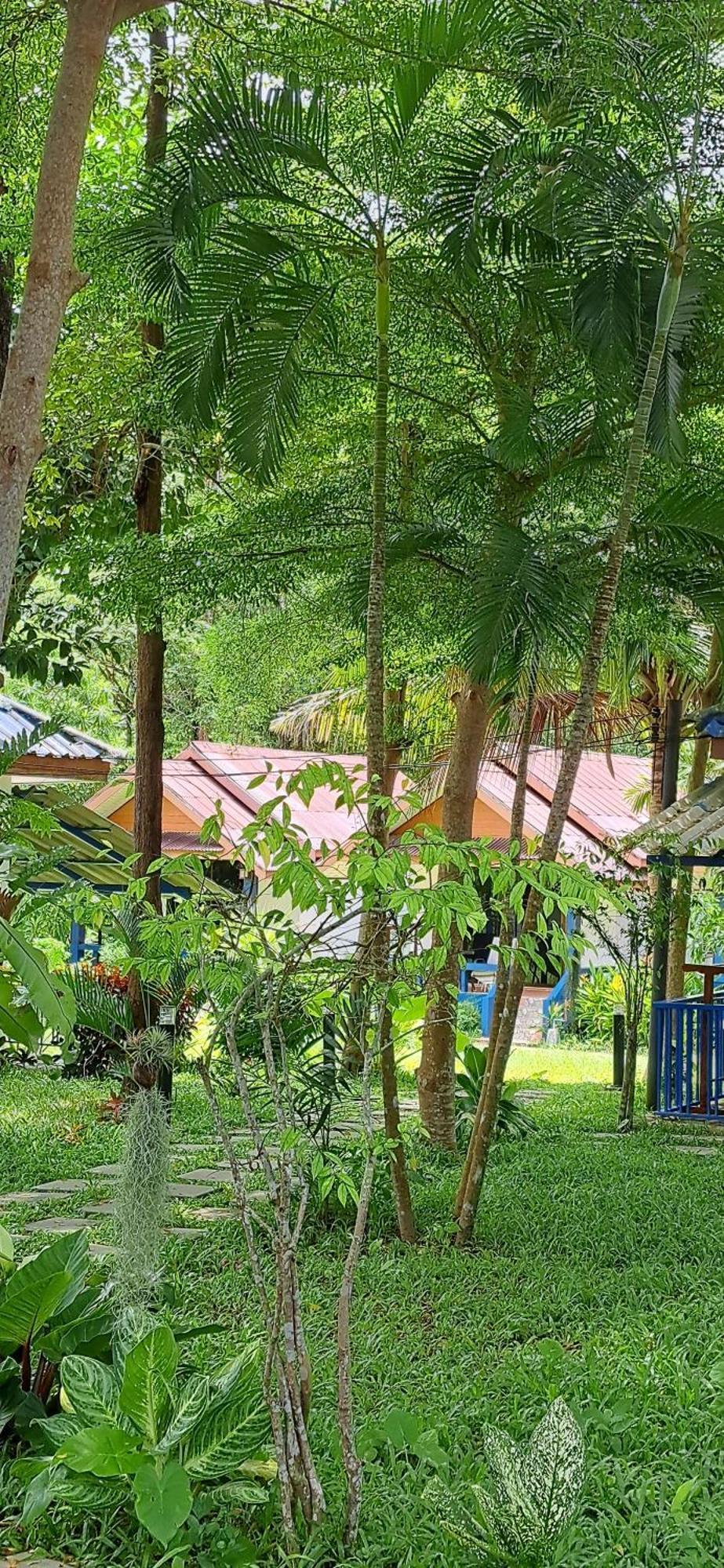 The Blue Gecko * Koh Lanta