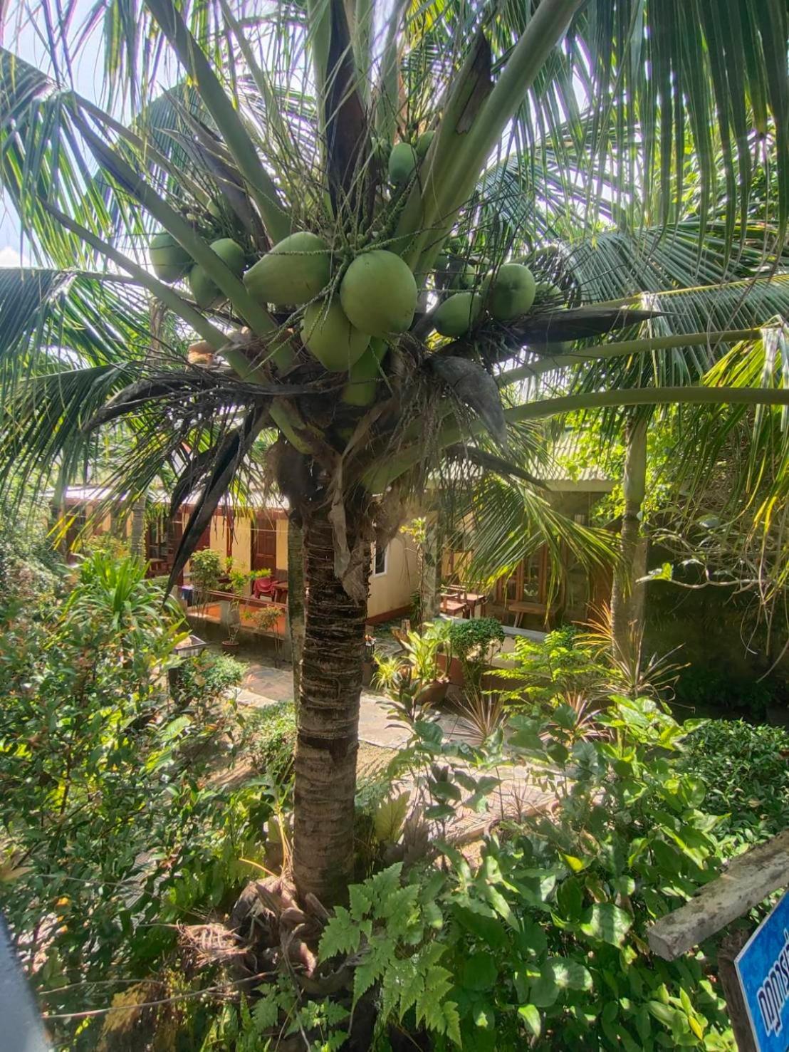 Lanta Riviera Koh Lanta