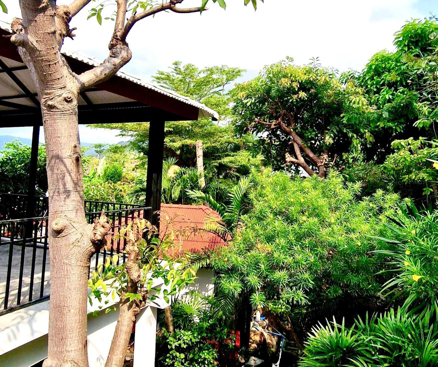 Cinnamon Resort