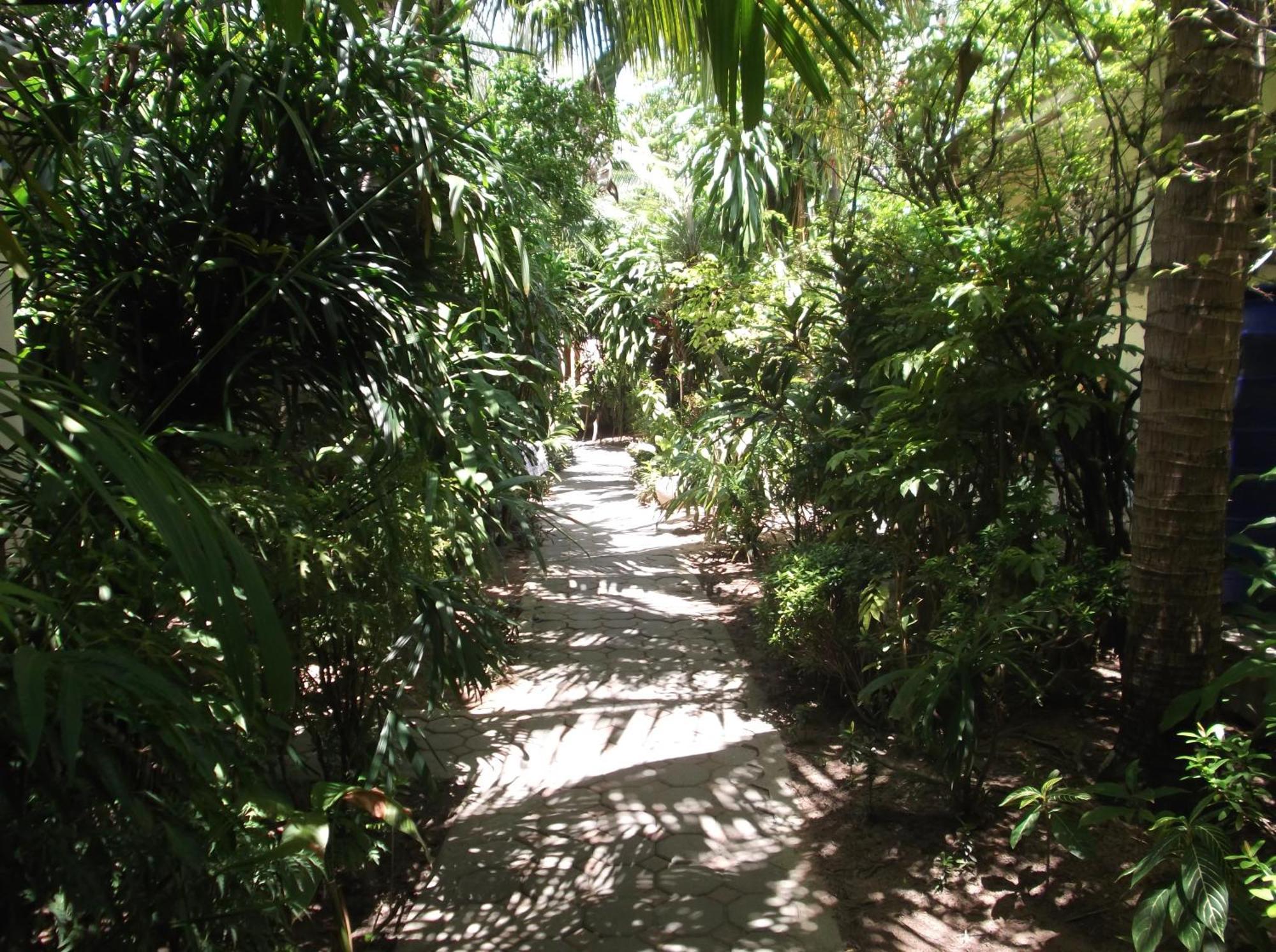The Chess Samui Guest house Chaweng (Koh Samui)