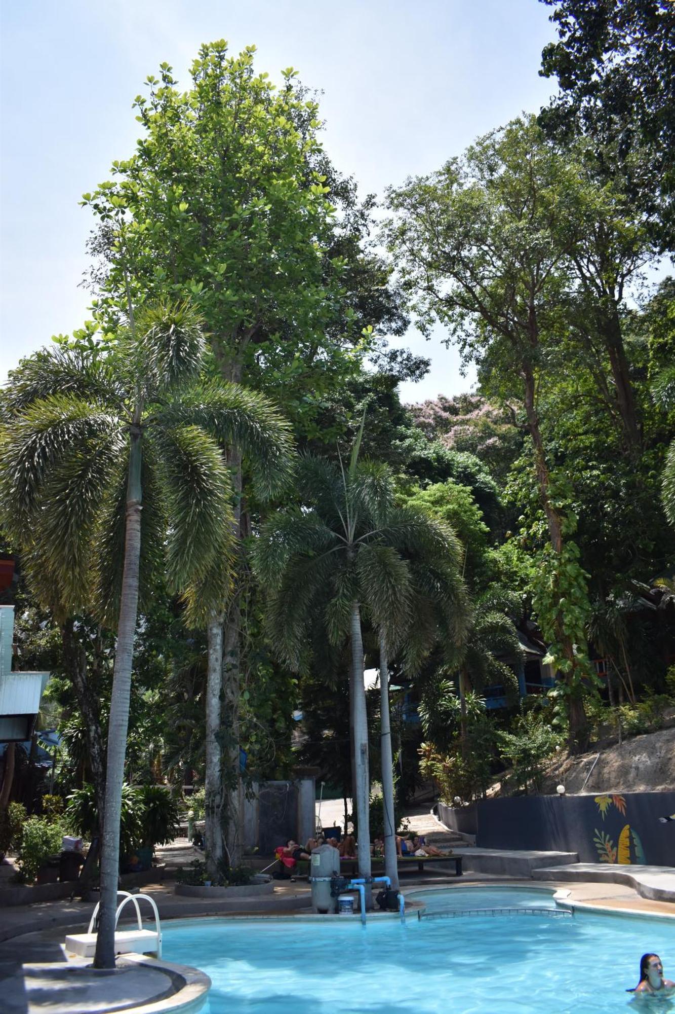 Resort Blanco Hideout - Youth 18 To 35 Only 3*