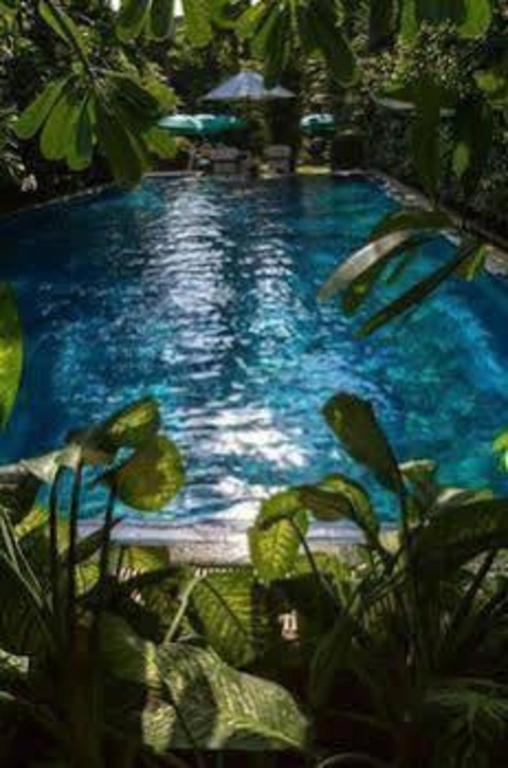 The Lokal Phuket Hotel Patong