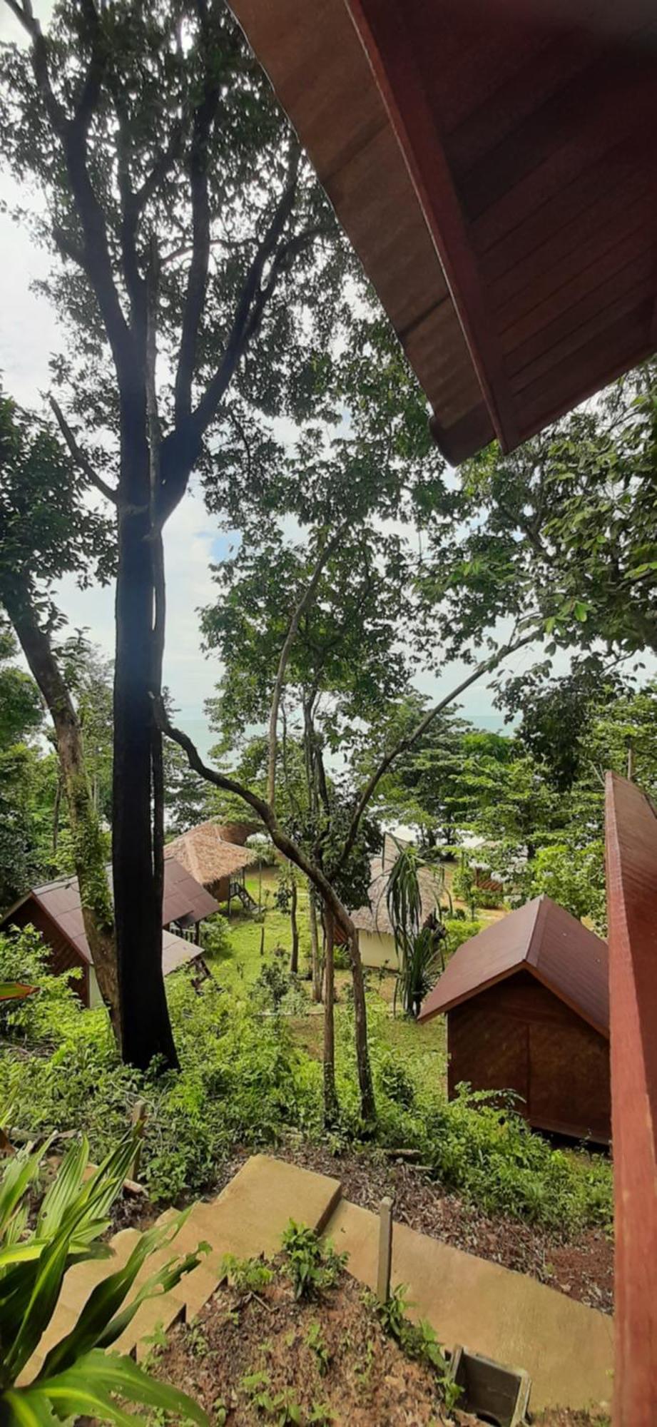 Cha Cha Koh Jum