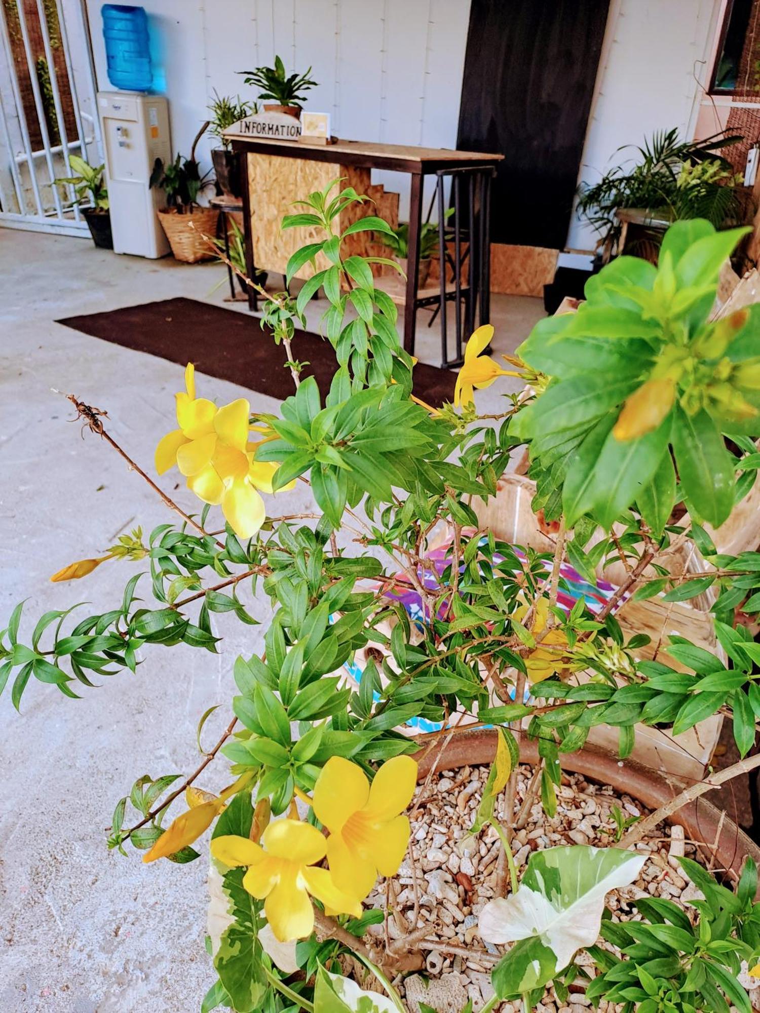 Naraya Guest house