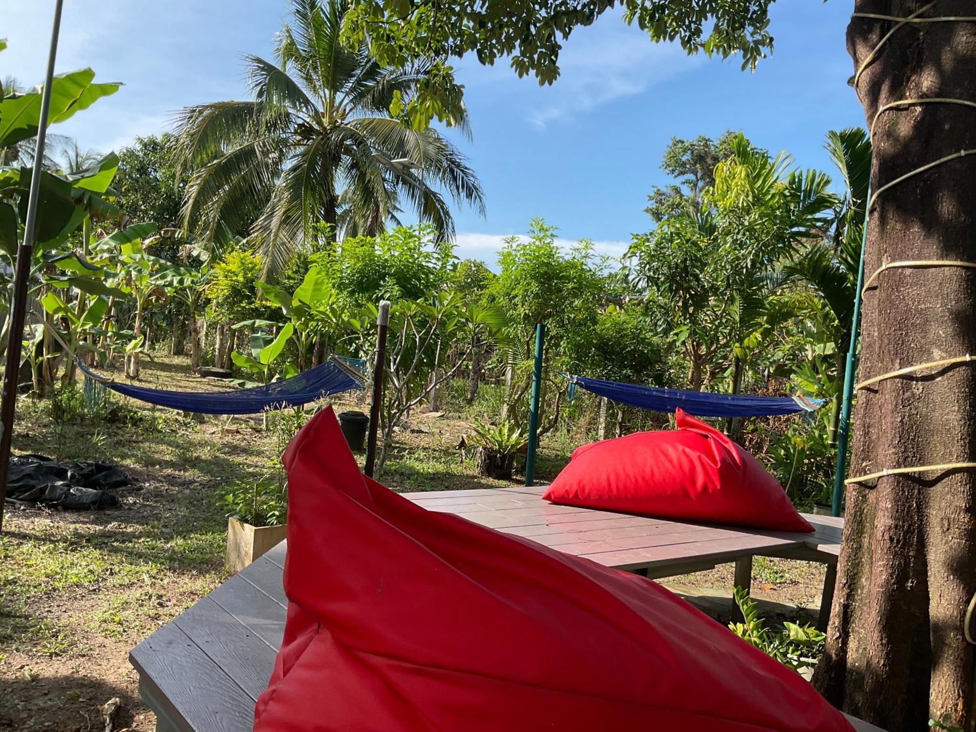 Wake Up @lanta : Cafe Hostel Koh Lanta