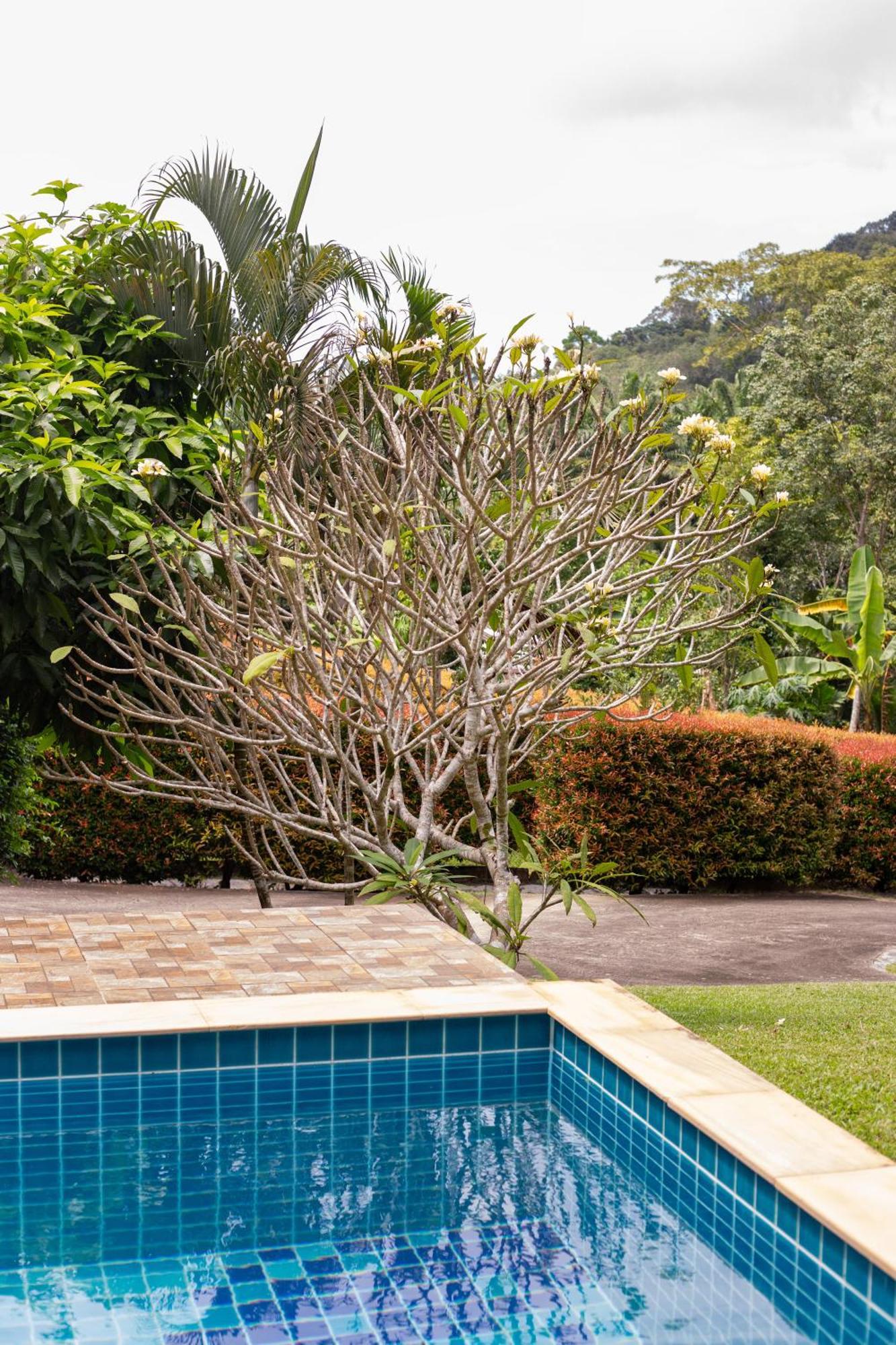 Jungle View Villa Krabi Thailand *