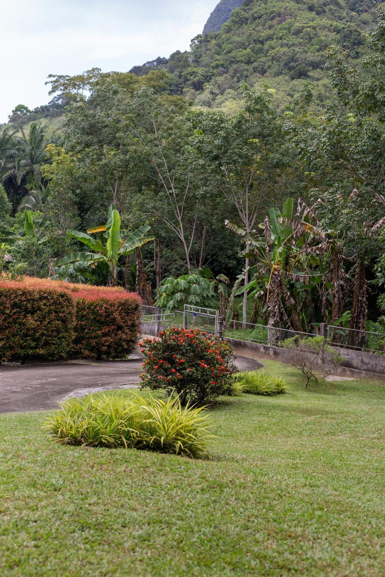 Holiday home Jungle View Villa Krabi Thailand