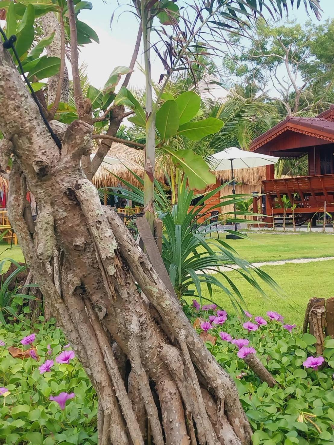 Holiday park Walden - Tiny Homes By The Sea Koh Lanta