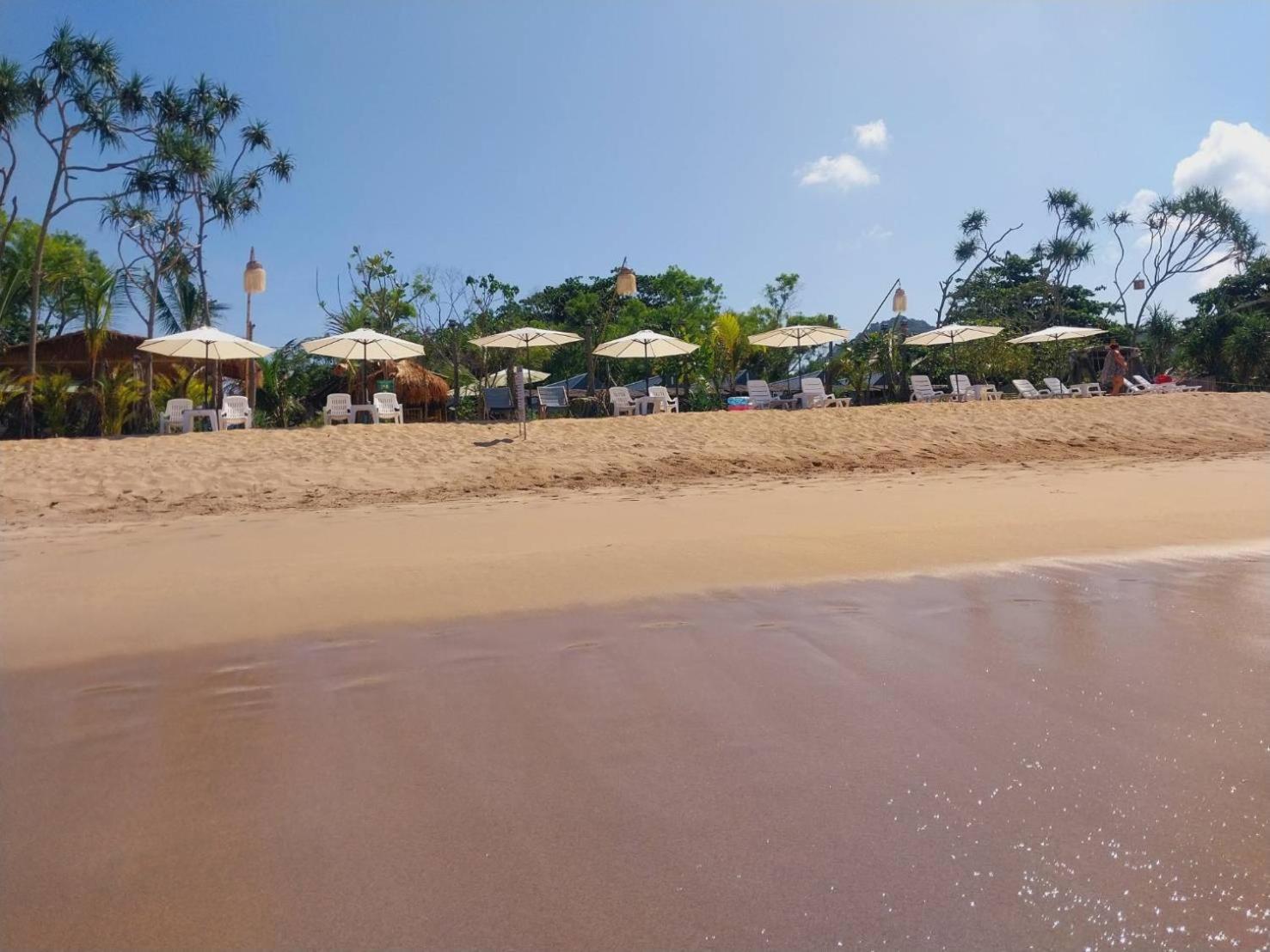 Holiday park Walden - Tiny Homes By The Sea