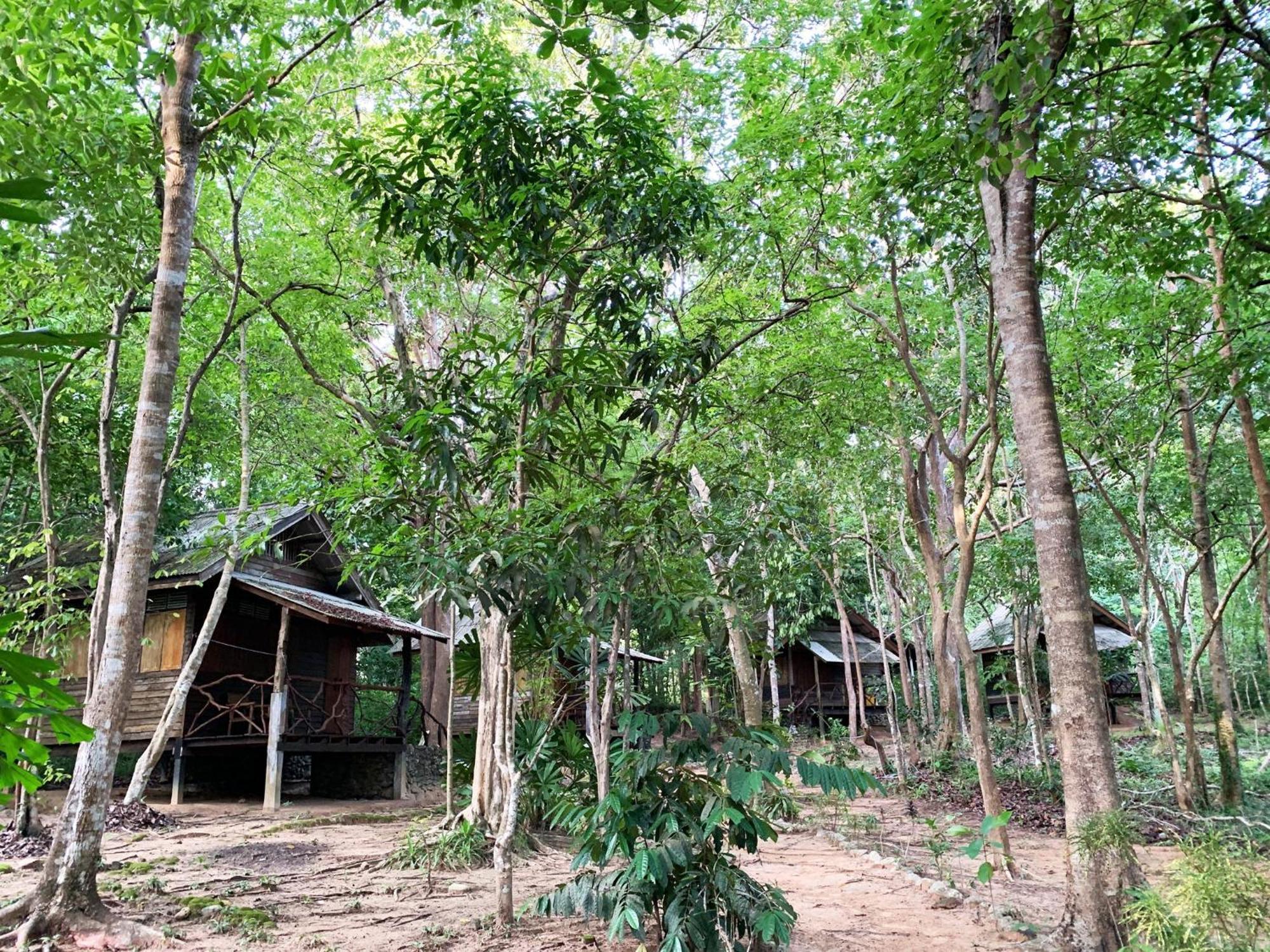 In - Family Of Koh Pu
