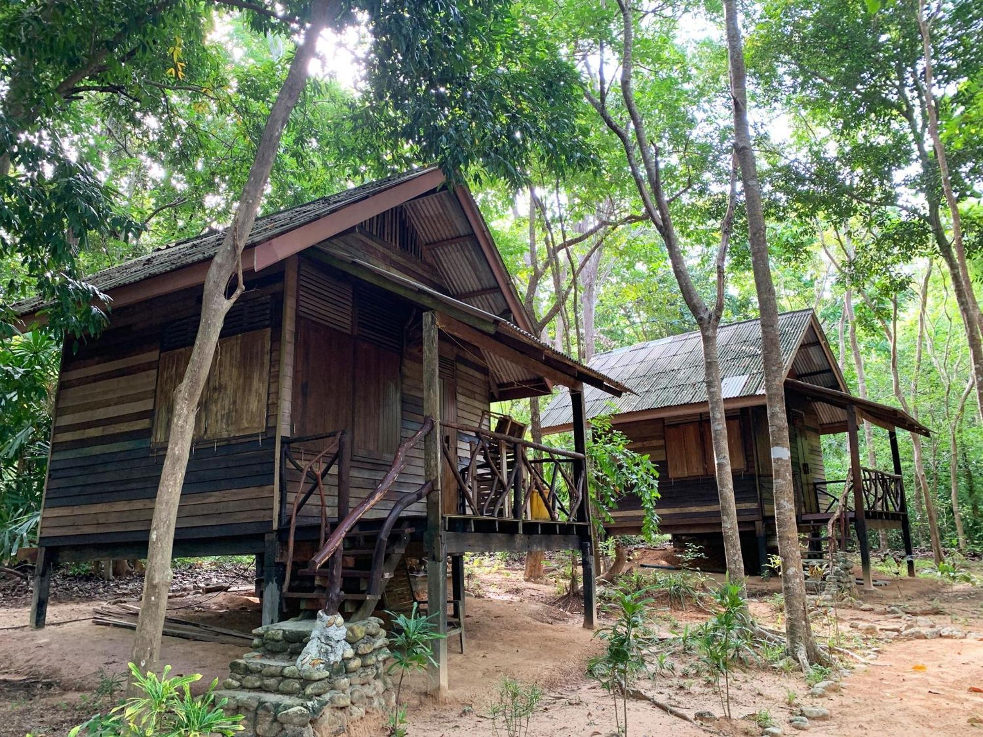 In - Foresta Of Koh Pu No6197 Koh Jum