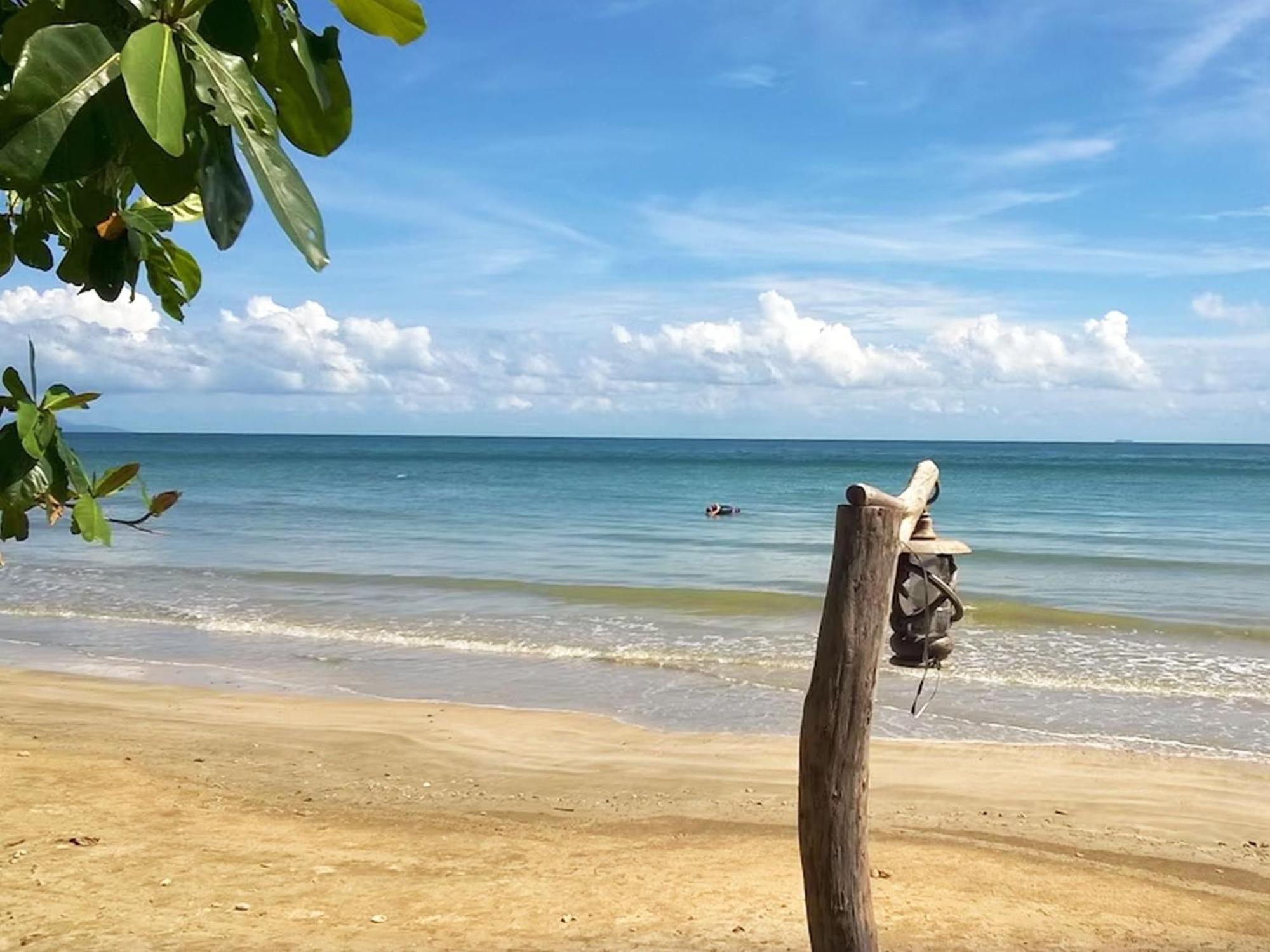 In - Foresta Of Koh Pu No6194 Koh Jum