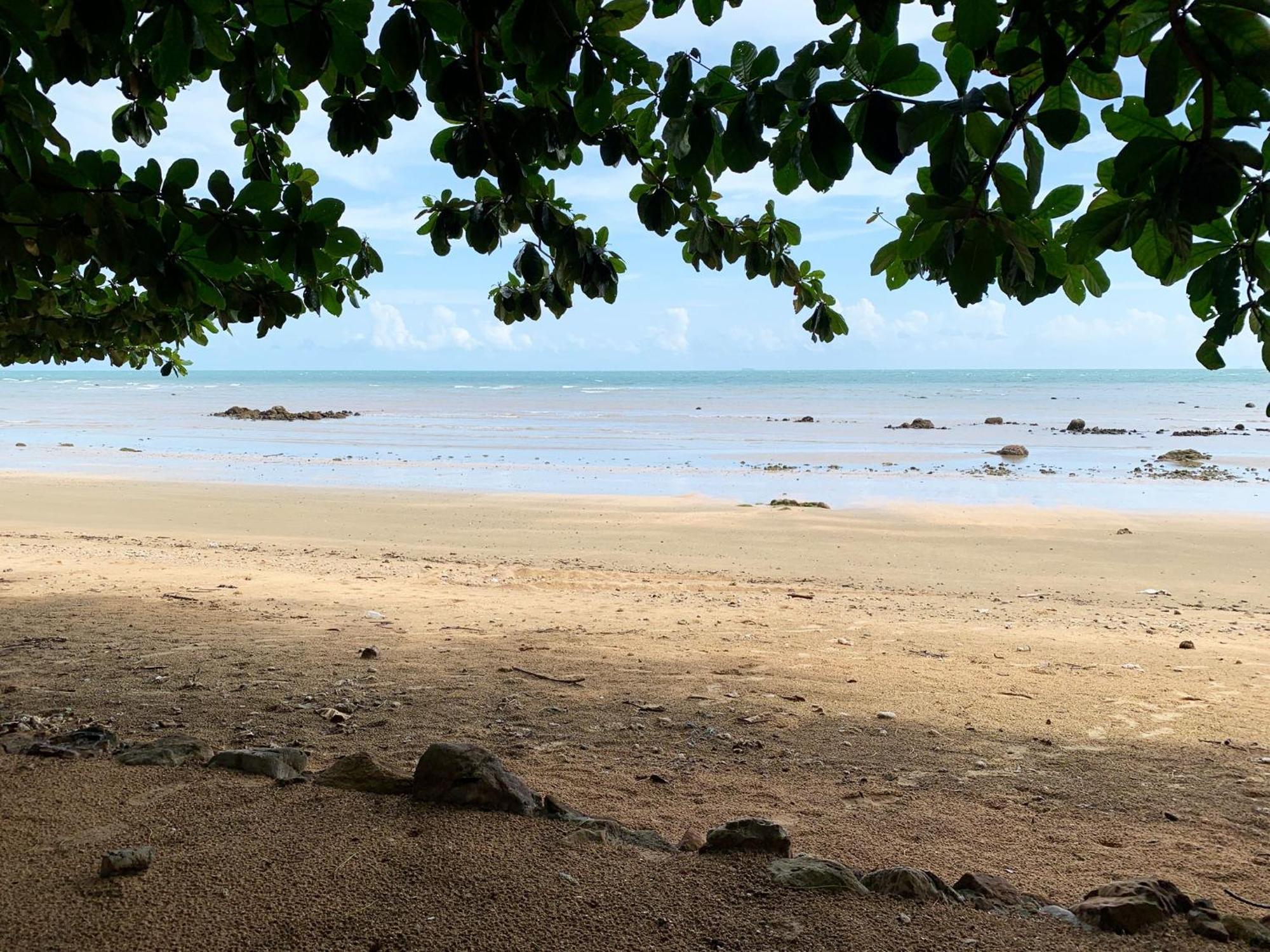 In - Foresta Of Koh Pu No6193 Koh Jum