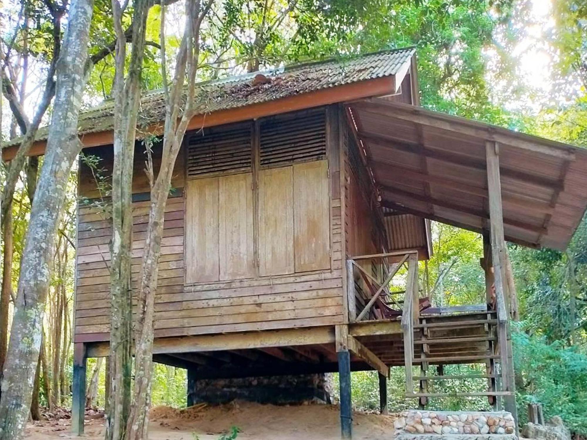 In - Foresta Of Koh Pu No6194