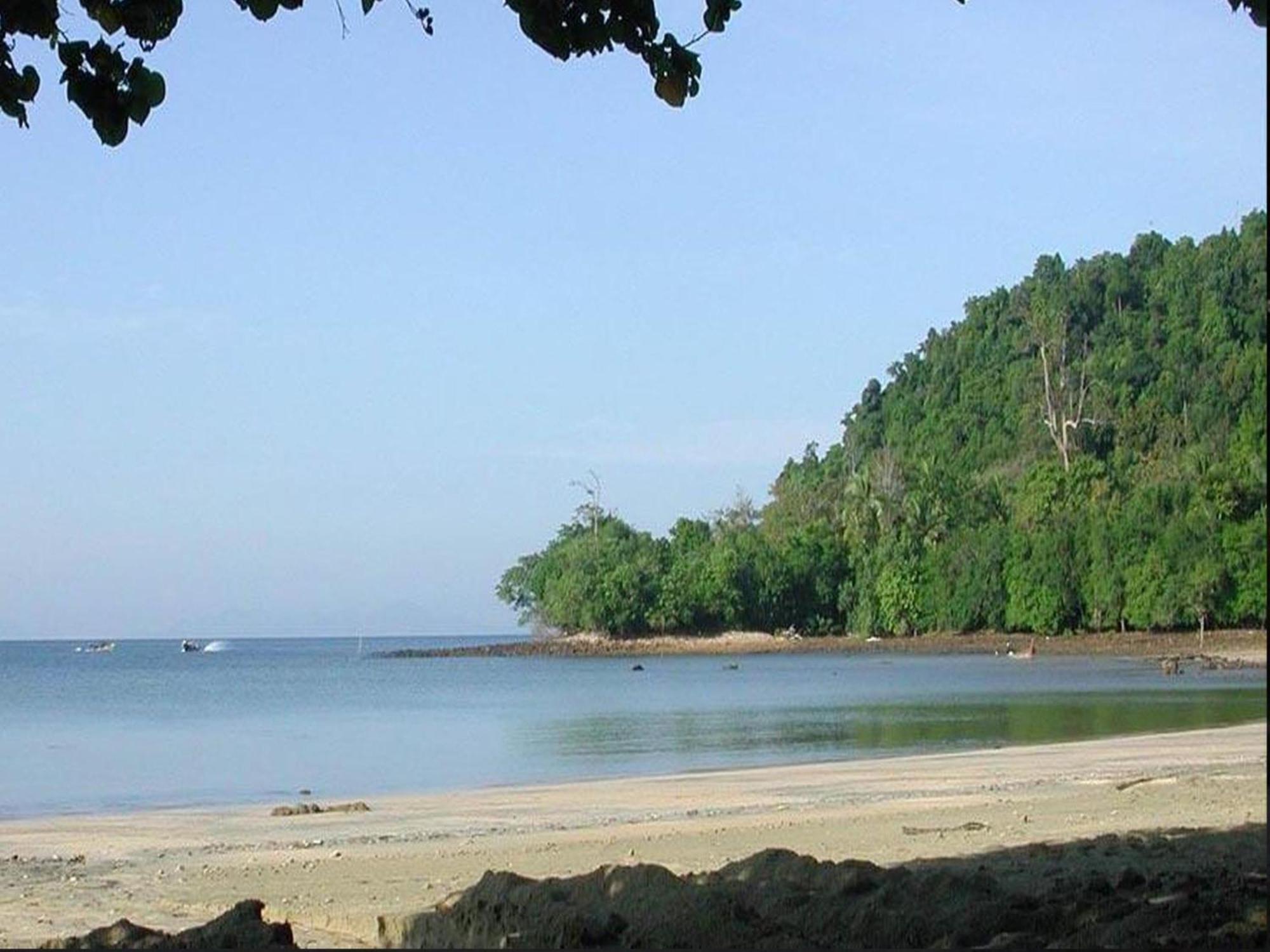 In - Foresta Of Koh Pu No6194