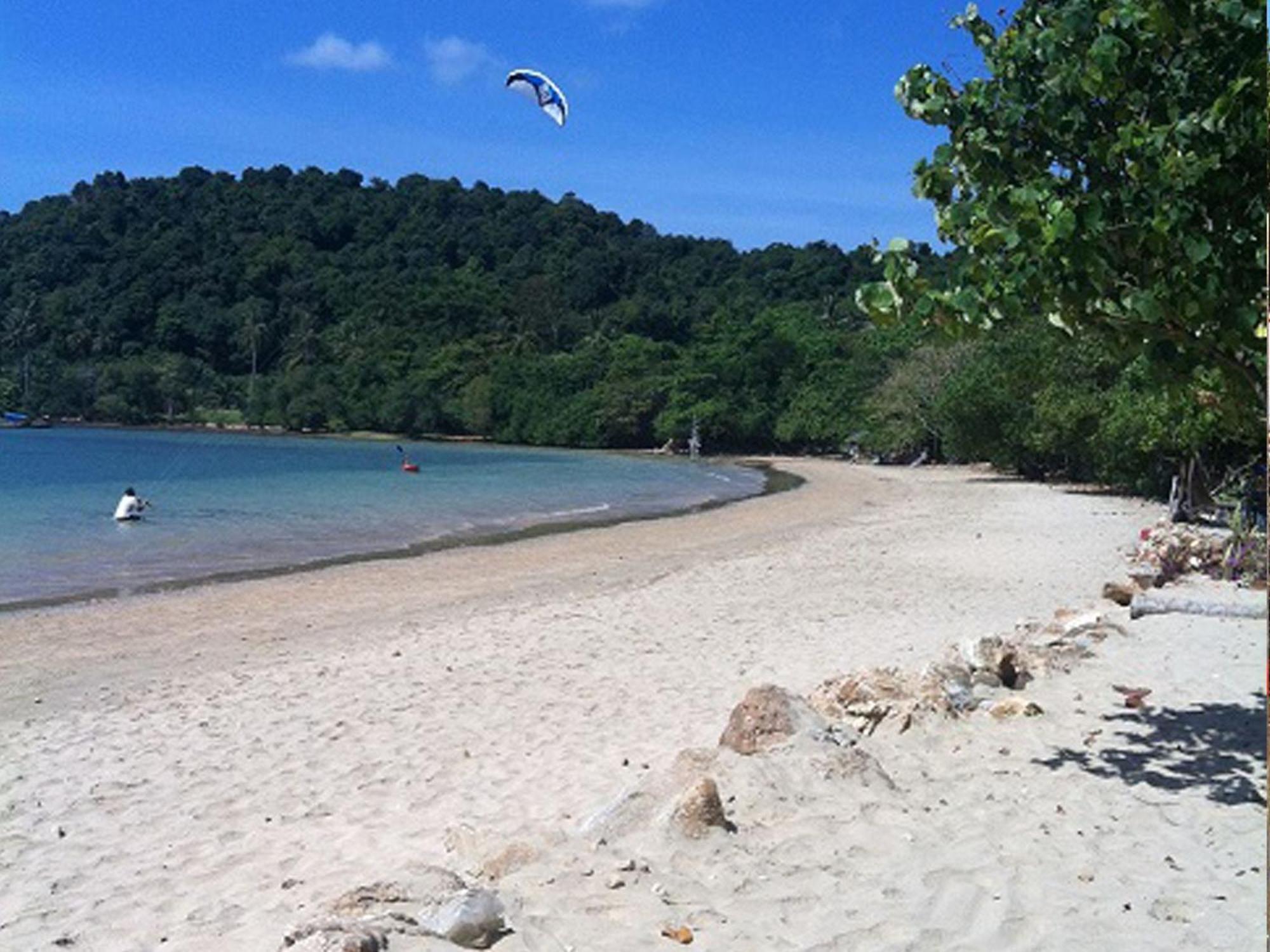 In - Foresta Of Koh Pu No6194 Koh Jum