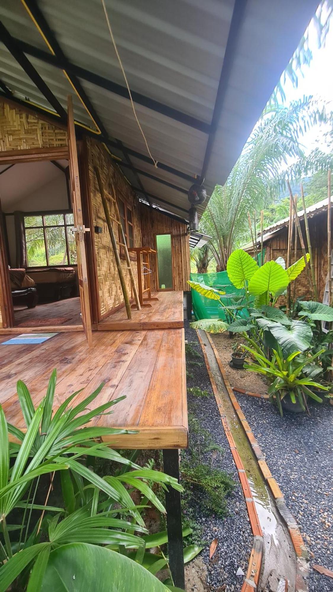 Tee In The Jungle * Ao Nang