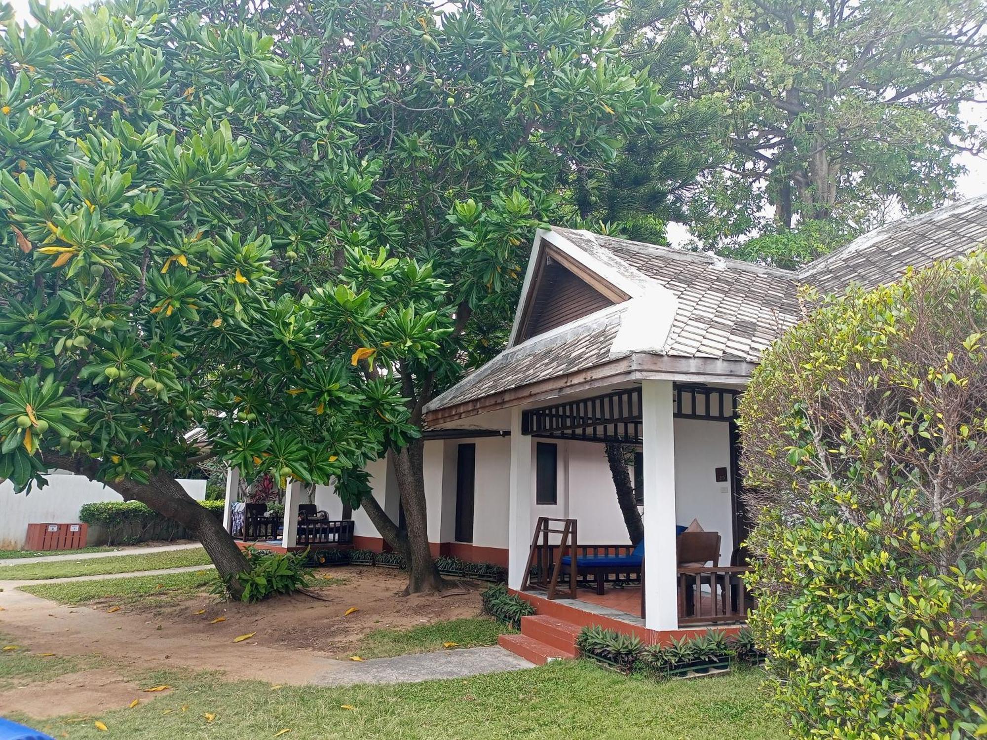 The Hive Resort 3*