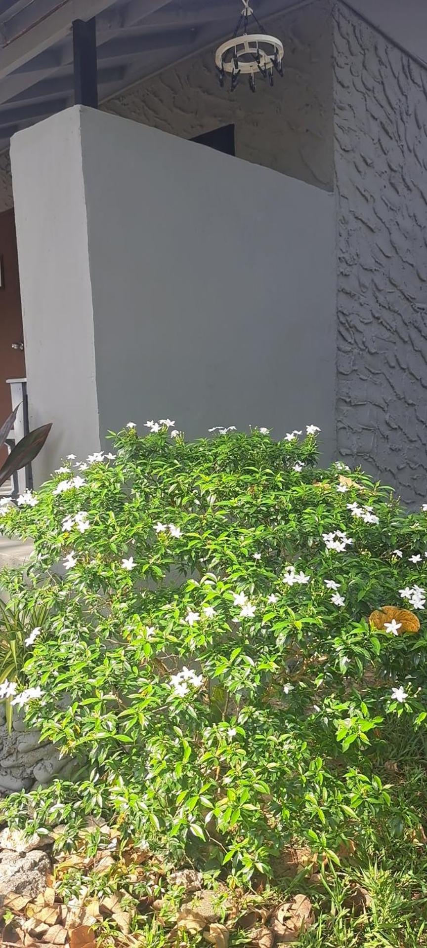 Resort Siam Flora *