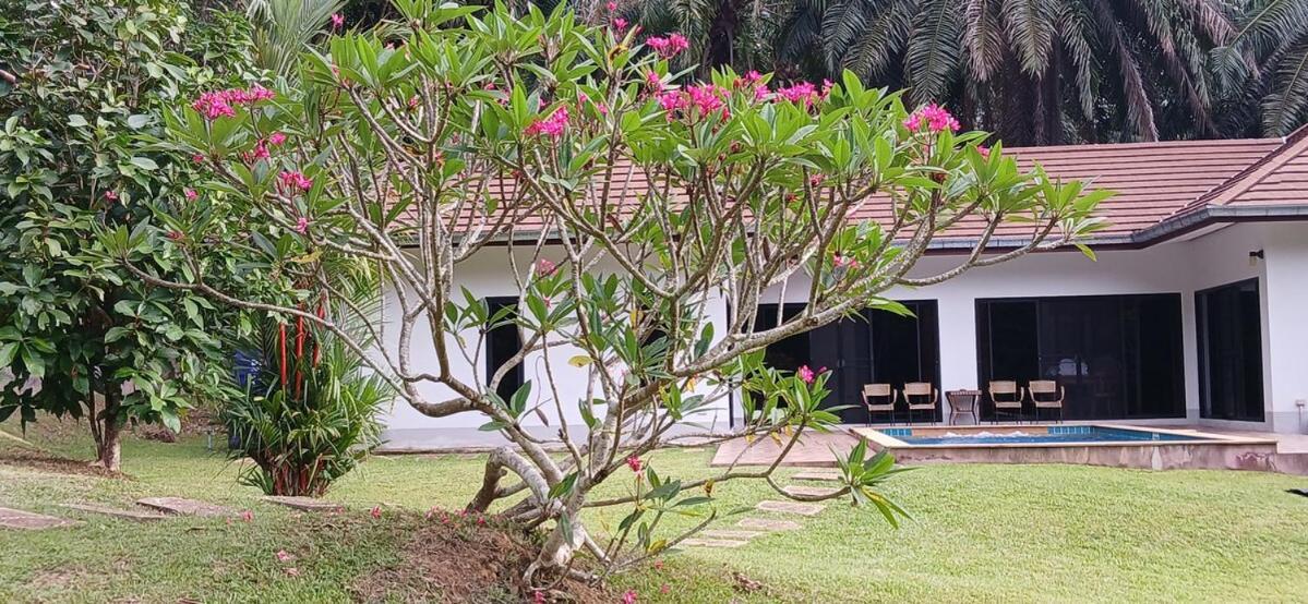 Jungle View Villa Krabi Thailand Krabi