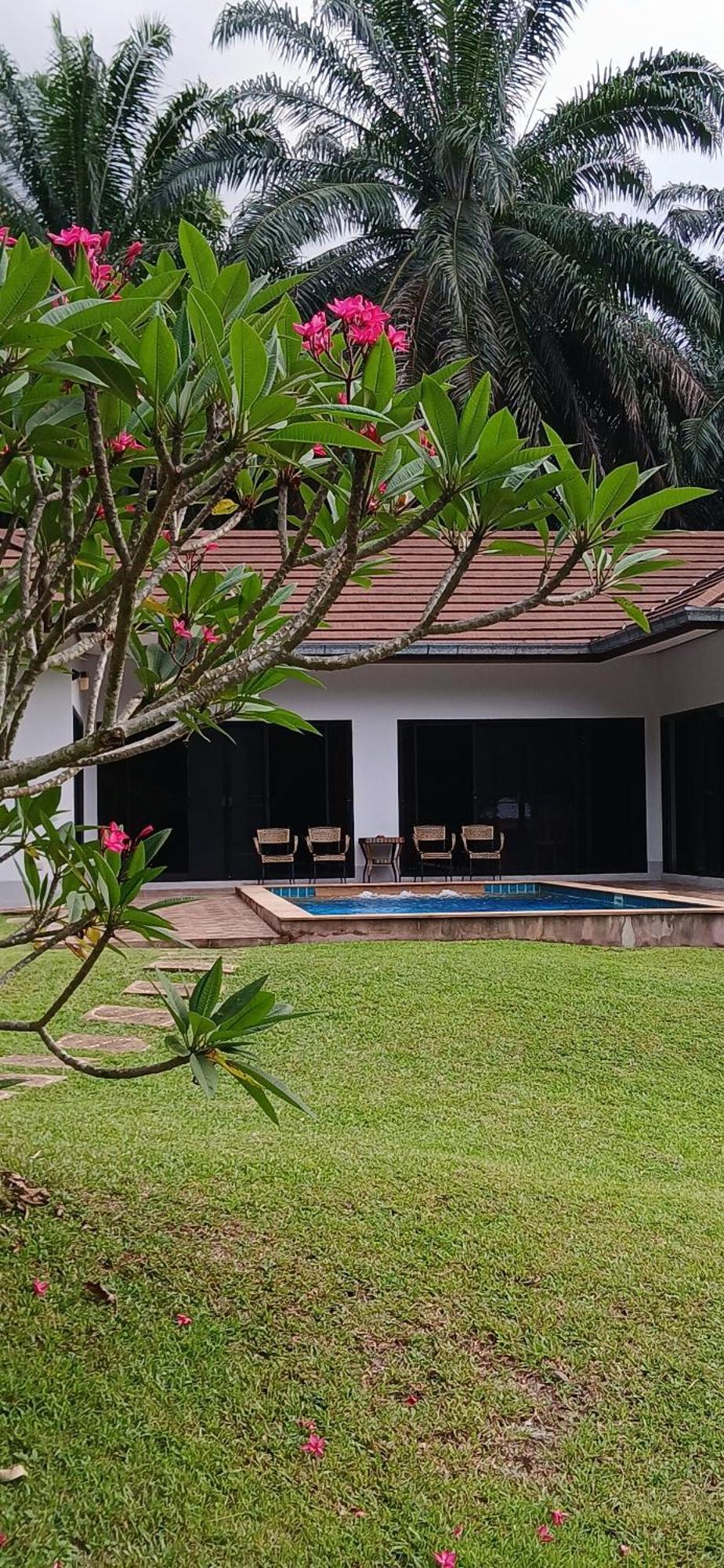 Jungle View Villa Krabi Thailand Krabi