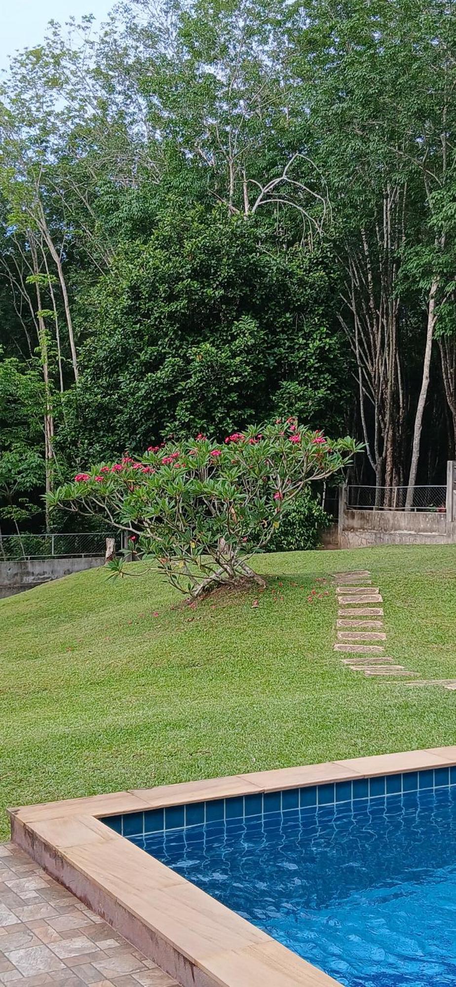 Jungle View Villa Krabi Thailand Holiday home Krabi