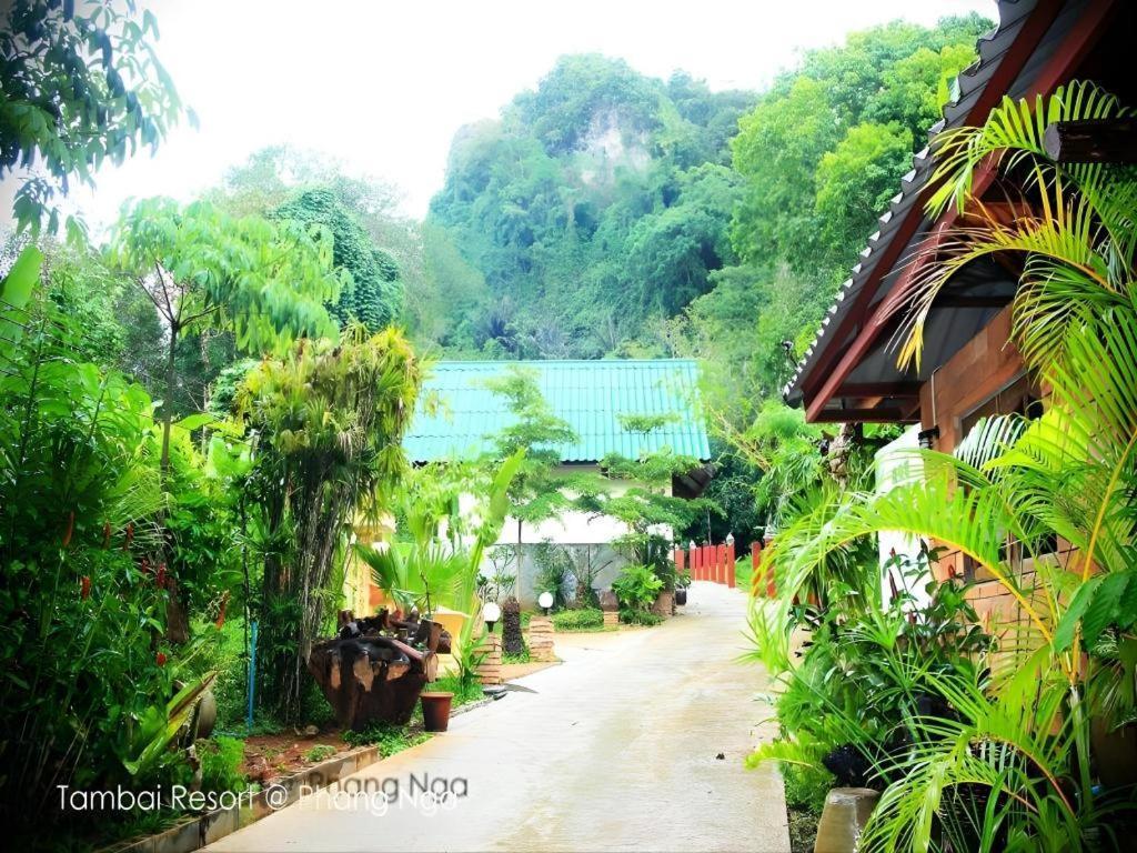 Resort Tambai